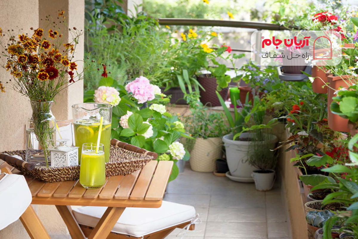 گیاهان در بالکن کوچک