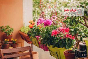 گل و گیاه مناسب بالکن