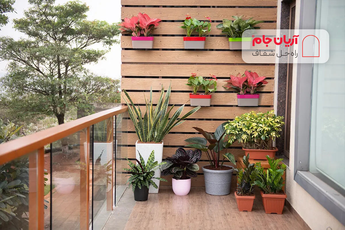 نگهداری گیاهان آپارتمانی