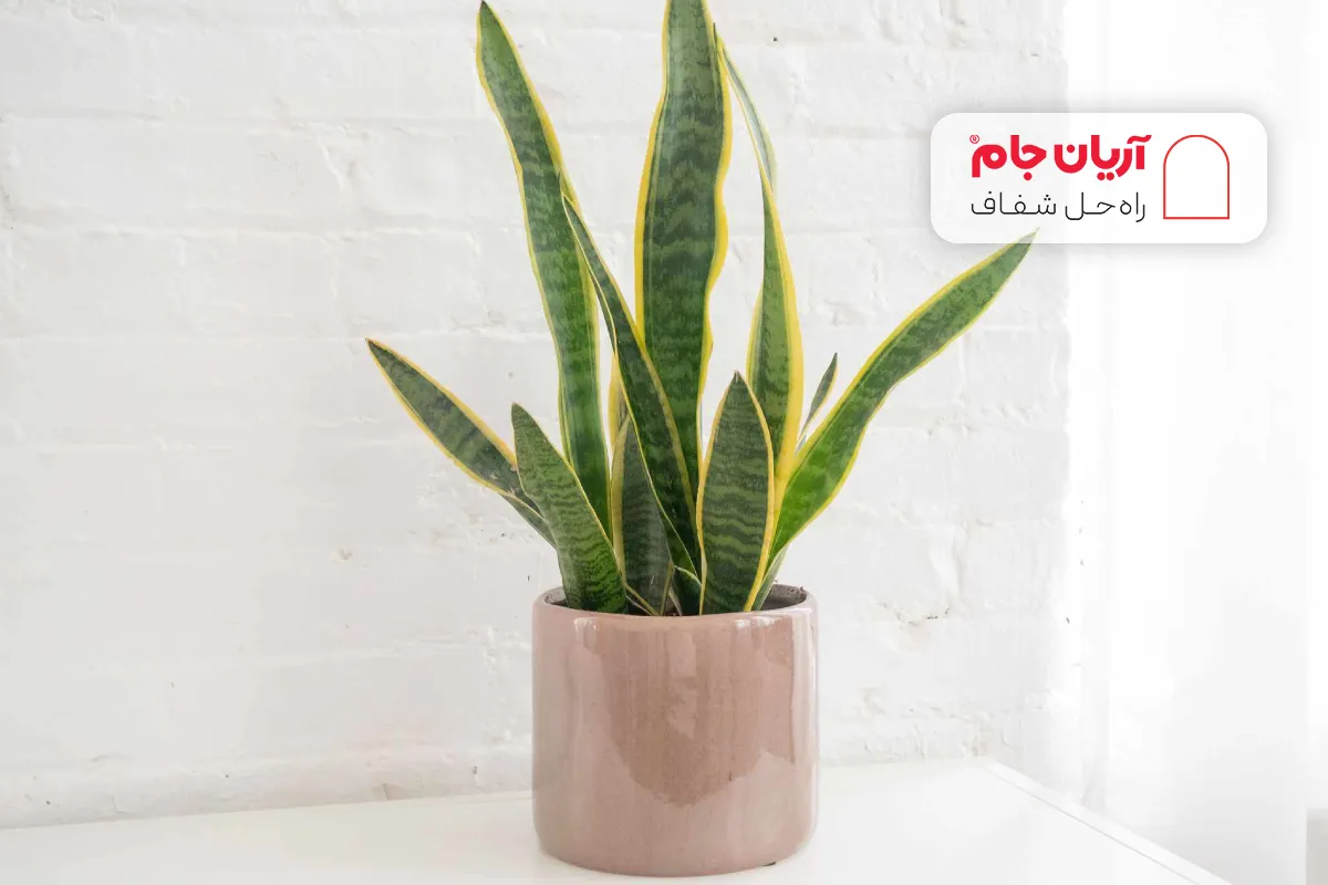 تصفیه هوا برای کاهش گرد و غبار در خانه