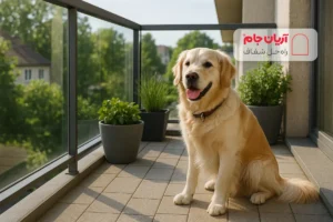نحوه نگهداری پت در بالکن